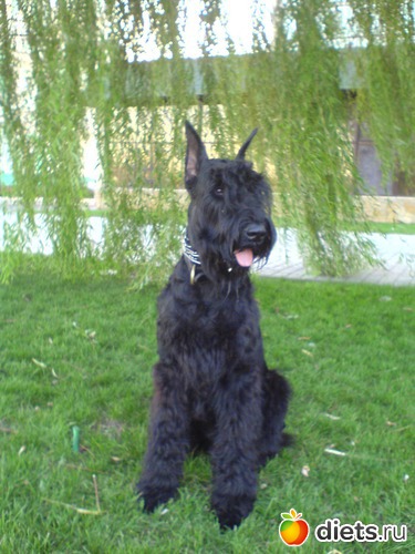 28 ����: ��� ���������