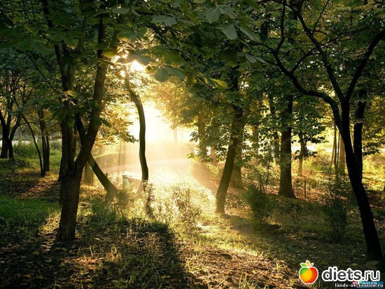 1 ����: ����...