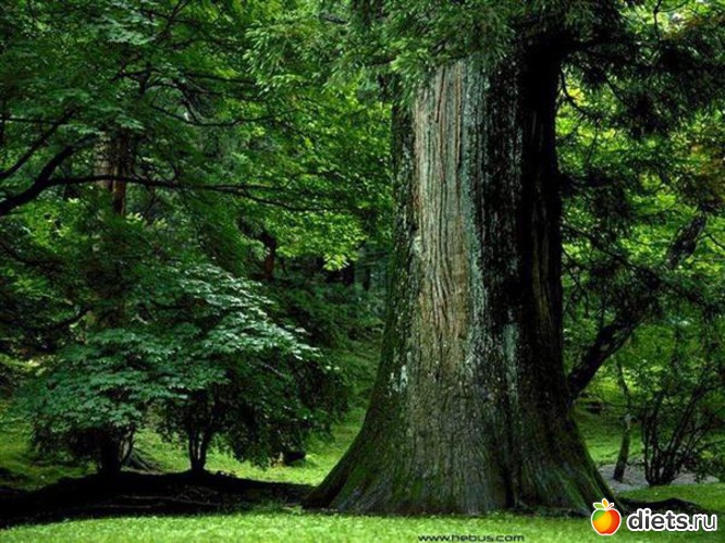 2 ����: ����...