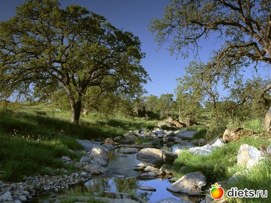 3 ����: ����...