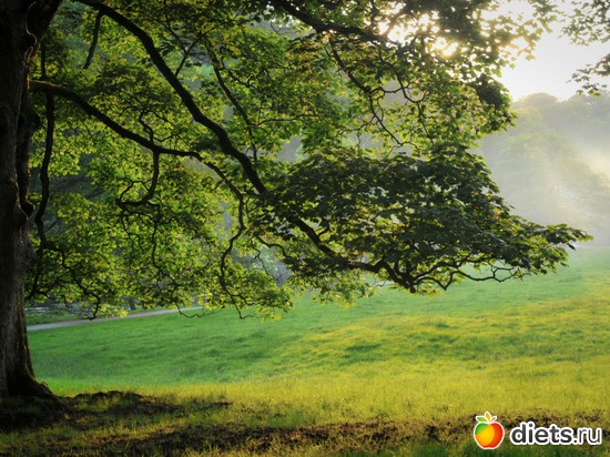 5 ����: ����...