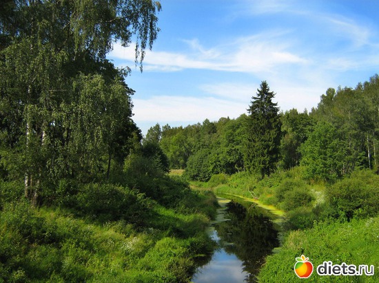 6 ����: ����...