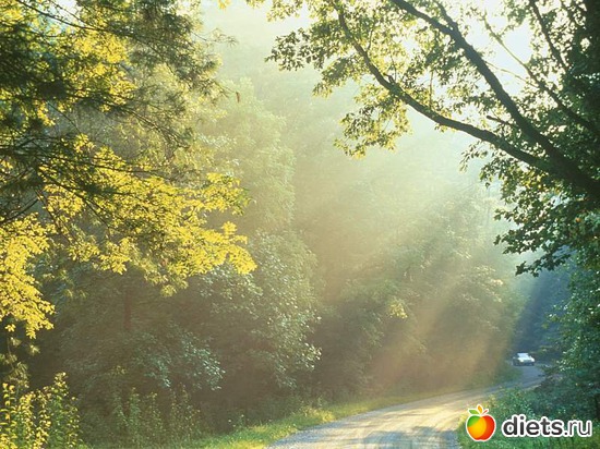 8 ����: ����...