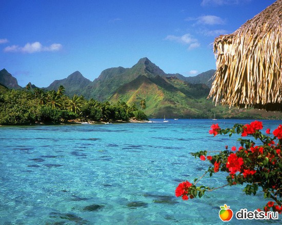 9 ����: ����...