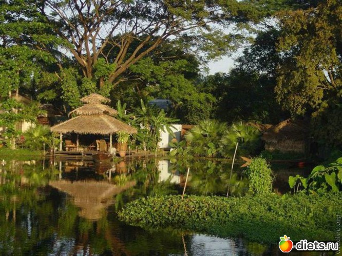 11 ����: ����...