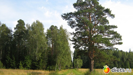 13 ����: ����...