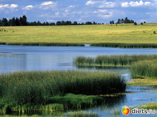 14 ����: ����...