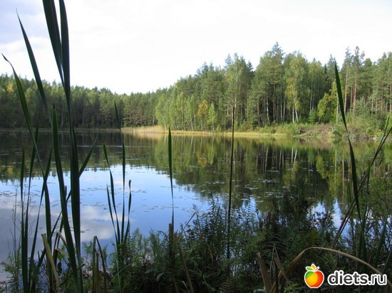 15 ����: ����...