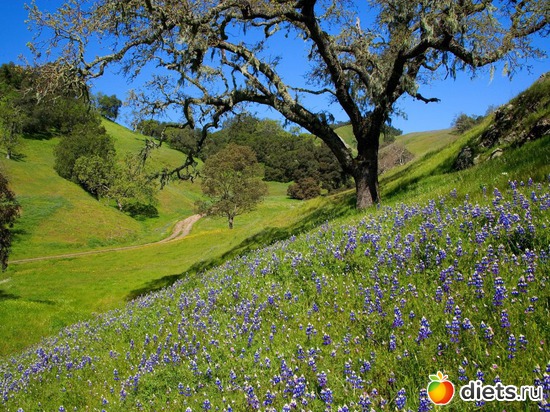 16 ����: ����...