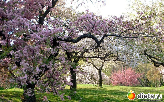 19 ����: ����...