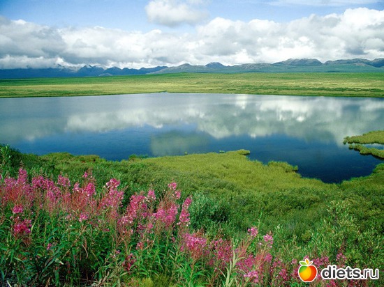 20 ����: ����...