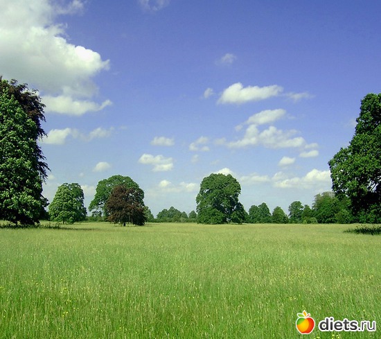 21 ����: ����...