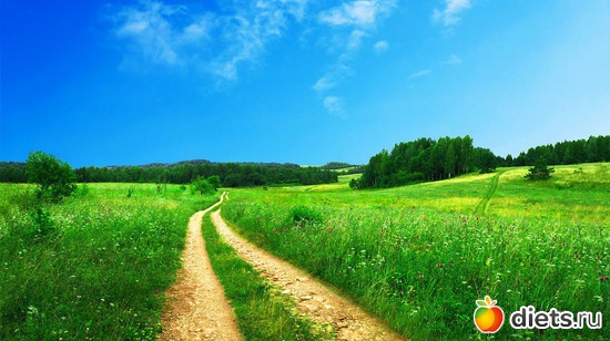 22 ����: ����...