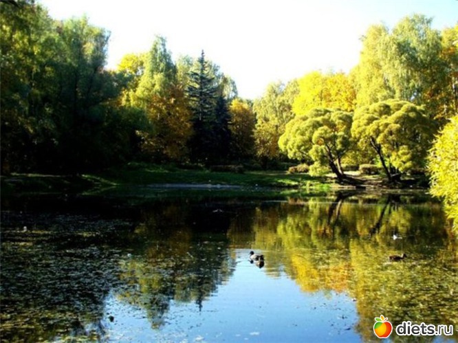 23 ����: ����...