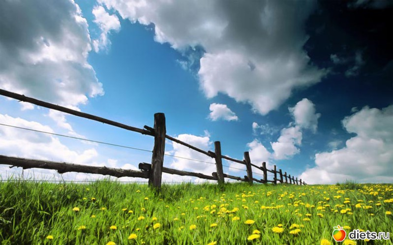 24 ����: ����...