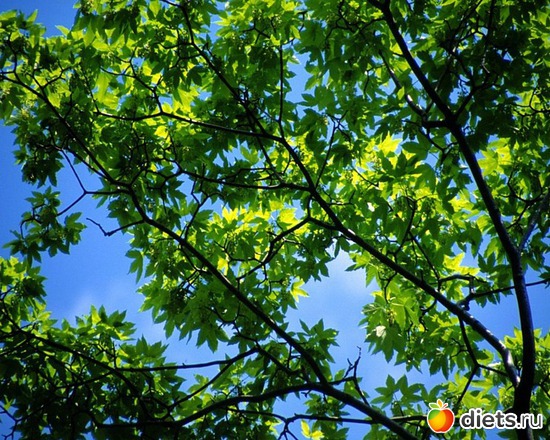 25 ����: ����...