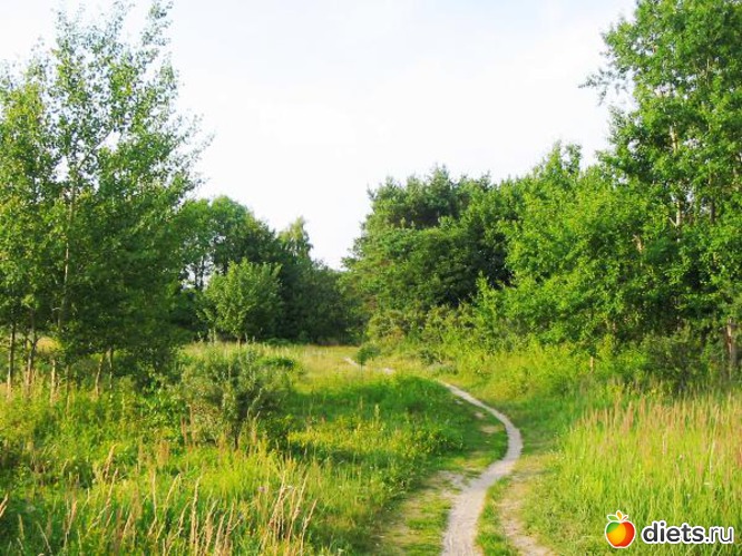 26 ����: ����...