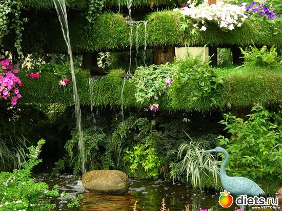 30 ����: ����...