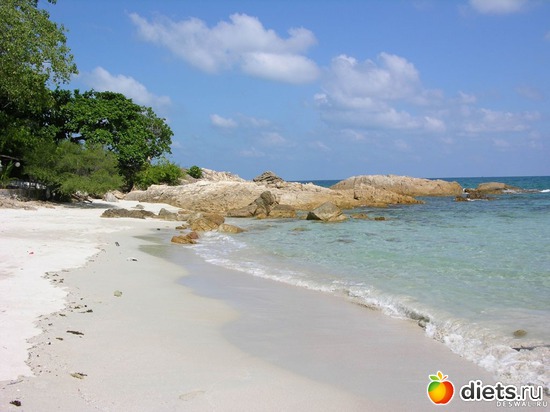 33 ����: ����...