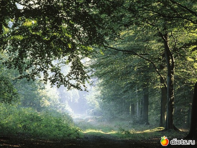 34 ����: ����...