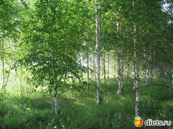 37 ����: ����...