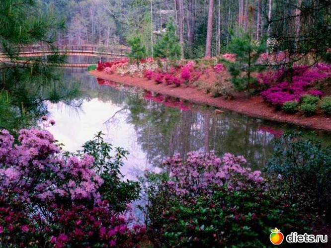 39 ����: ����...