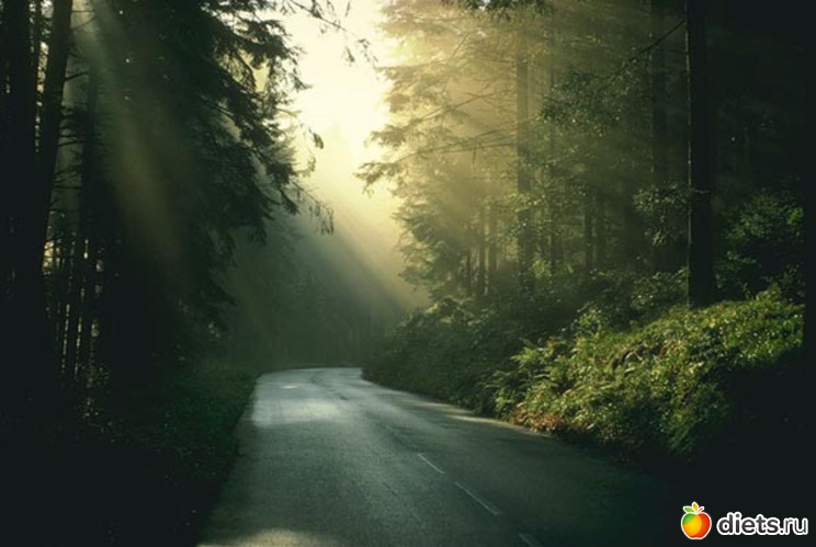 42 ����: ����...