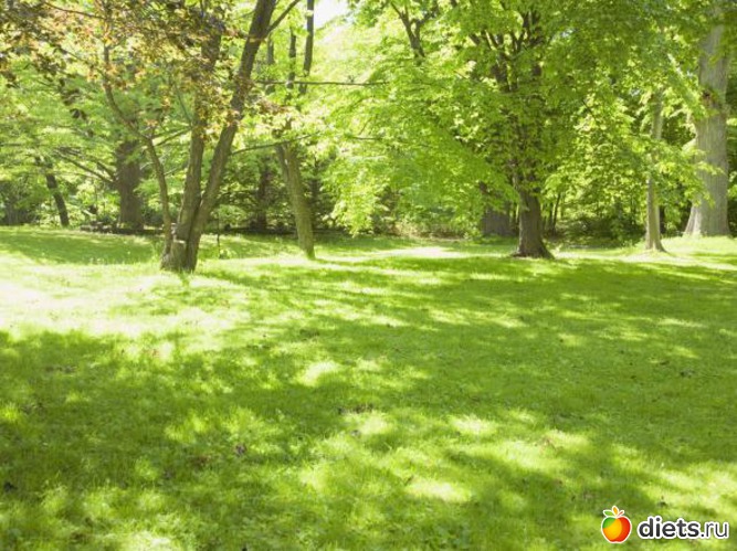 43 ����: ����...