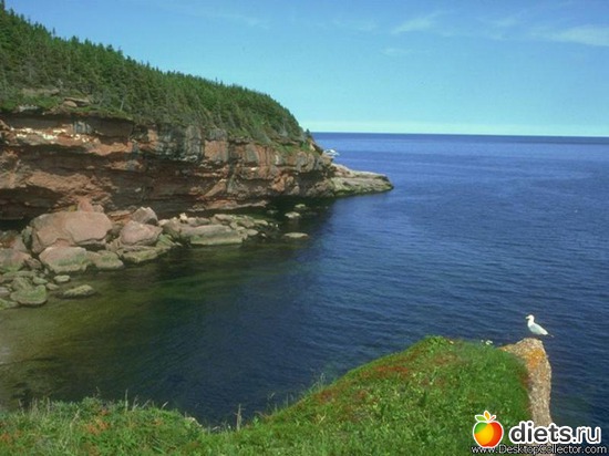 44 ����: ����...