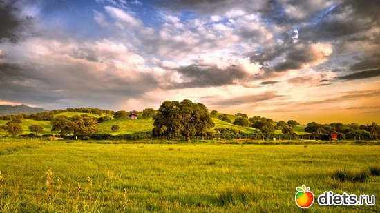 45 ����: ����...