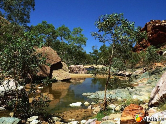 47 ����: ����...