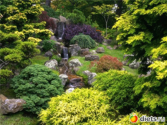 48 ����: ����...