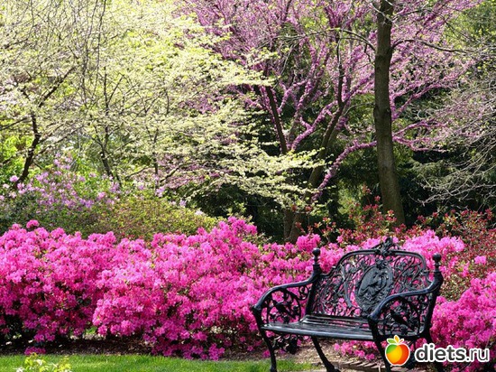 51 ����: ����...