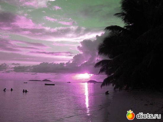 52 ����: ����...