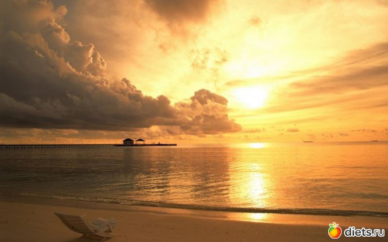 54 ����: ����...