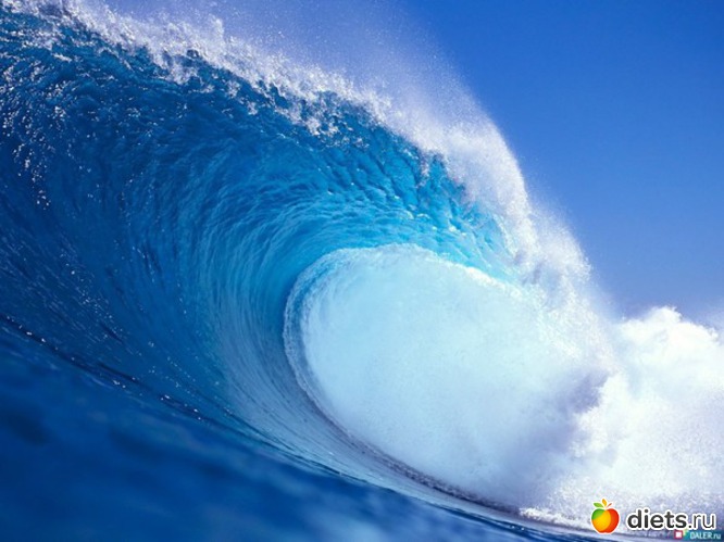 56 ����: ����...