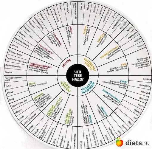 27 ����: ���������