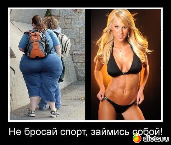 36 ����: ���������