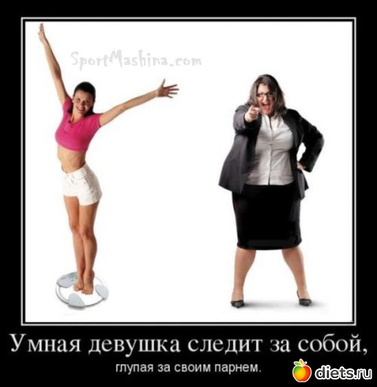 38 ����: ���������