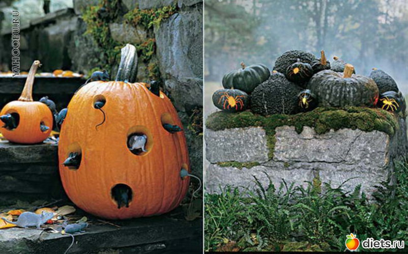 102 ����: ��������