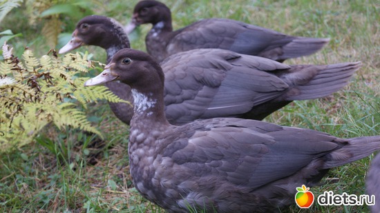 26 фото: Отдых!