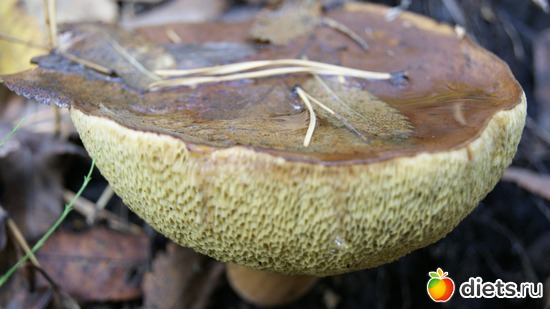 60 фото: Отдых!