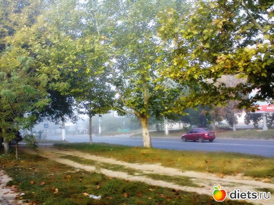 �����, ������: ������