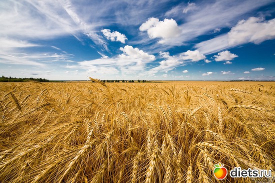 90 ����: ����...