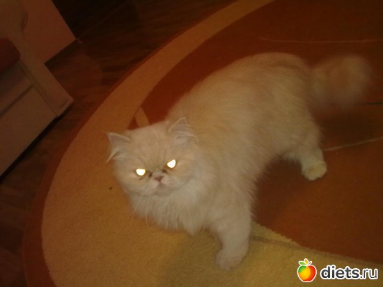 3 ����: ��� ������� ������