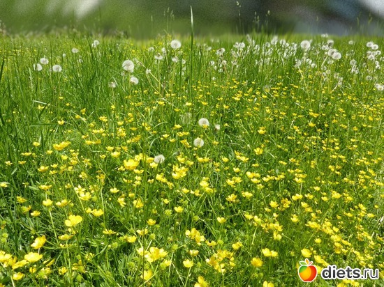 57 ����: ����...