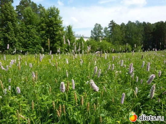 64 ����: ����...