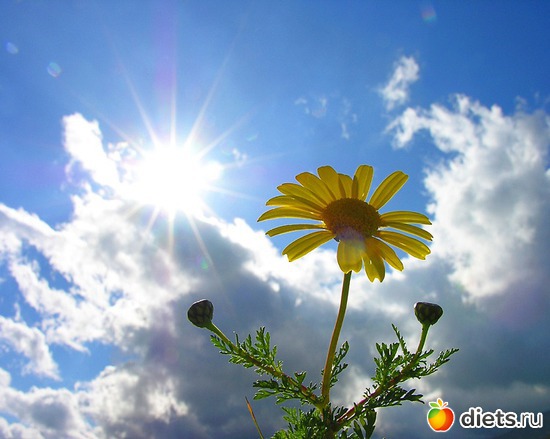 66 ����: ����...