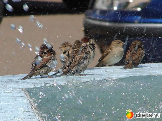 70 ����: ����...