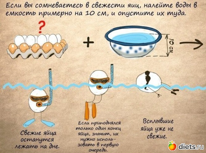 19 ����: ����������